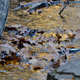 Illustration for article titled 76 Stunning Photos Of Fall Leaves